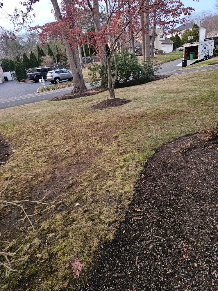 Expert yard maintenance for beautiful yards in Smithtown, NY by Moreno’s Landscape & Design