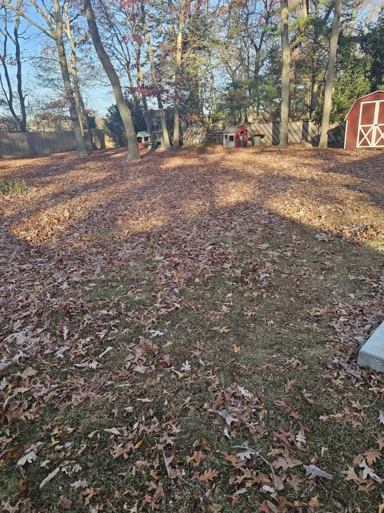 Professional outdoor landscaping in Smithtown, NY - Moreno’s Landscape & Design