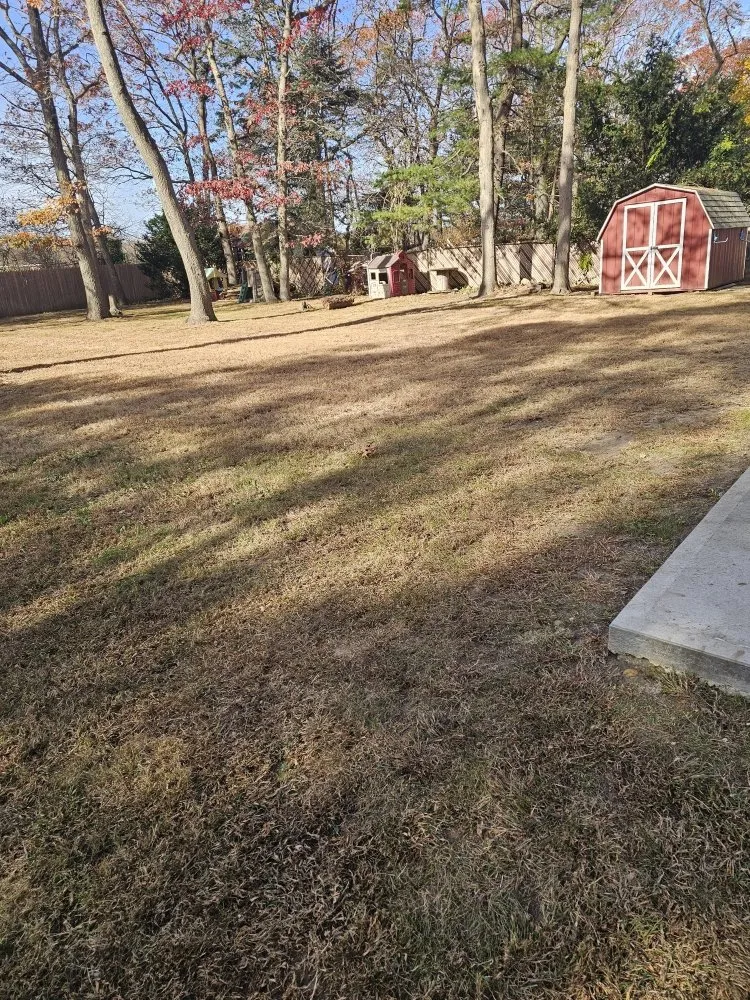 Professional residential landscaping for beautiful yards across Smithtown, NY - Moreno’s Landscape & Design