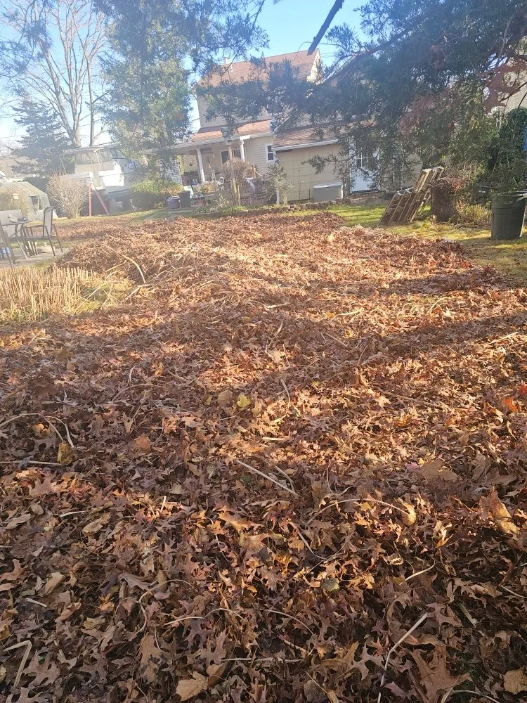 Custom yard cleanup service for residential properties across Smithtown, NY - Moreno’s Landscape & Design