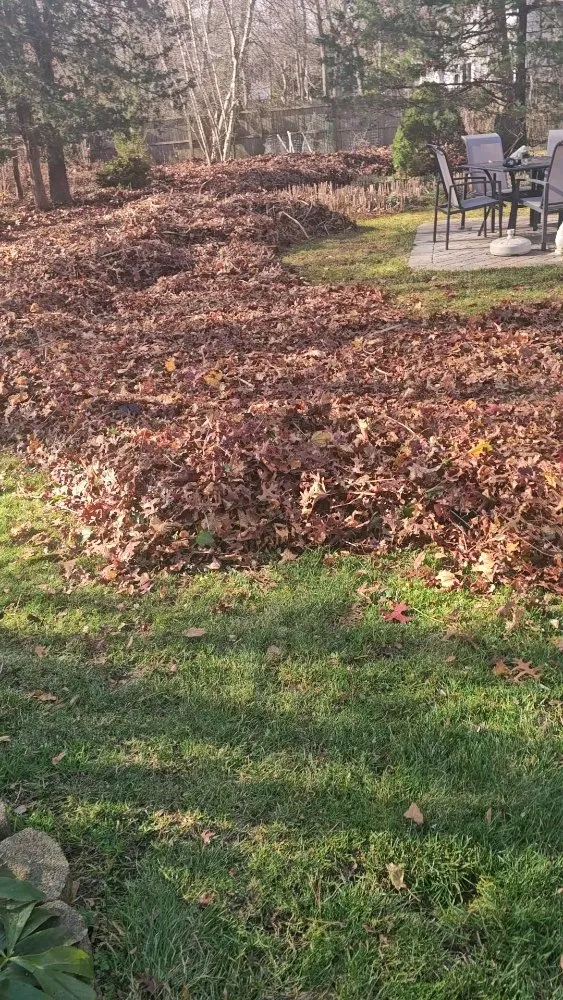 Expert garden landscaping experts serving Smithtown, NY - Moreno’s Landscape & Design