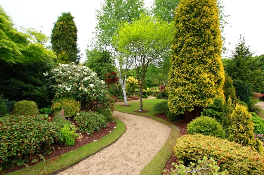 Affordable yard maintenance near you across Laguna Hills, CA - Morenos Landscape OC