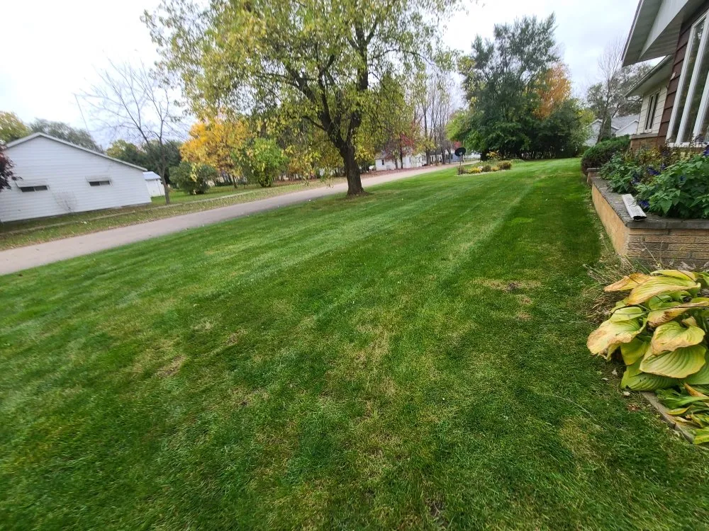 Expert garden landscaping experts serving Wisconsin Rapids, WI - Moreno's Landscaping & Services