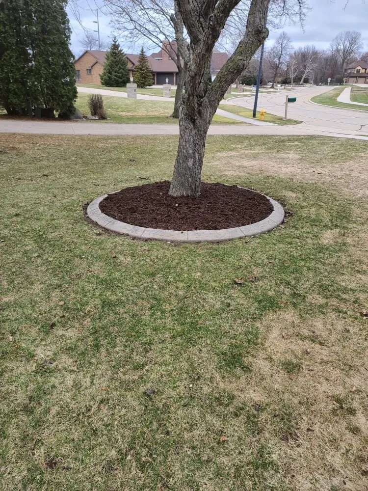 Trusted lawn care service in Wisconsin Rapids, WI - Moreno's Landscaping & Services