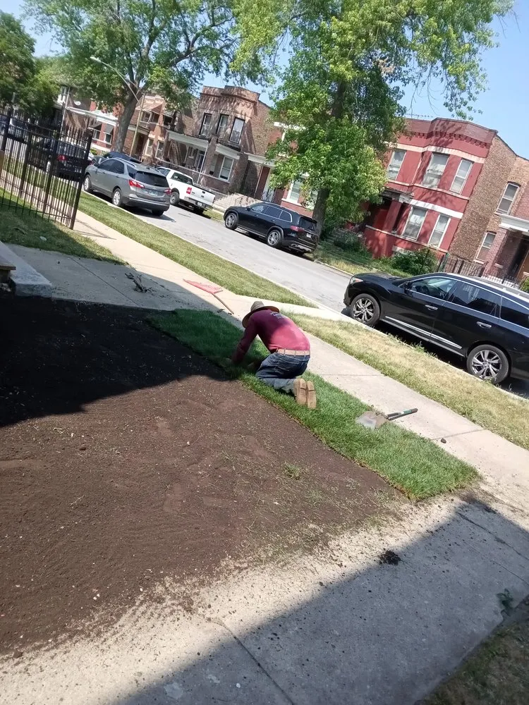 Professional landscape installation experts serving Hammond, IN - Moreno's Lawn Service