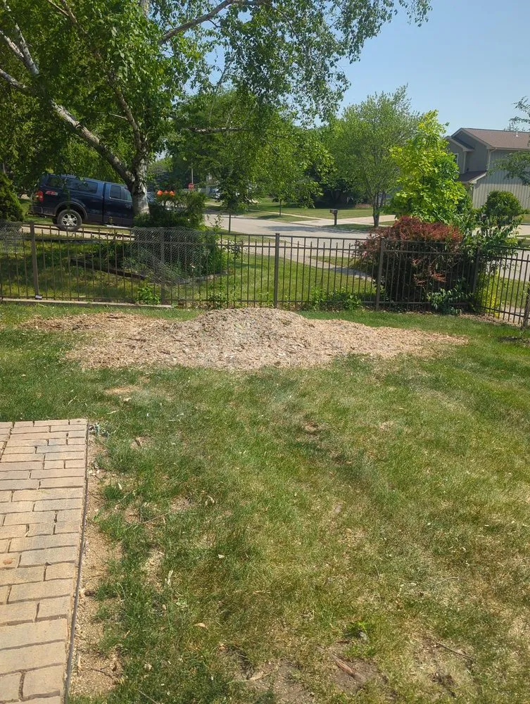 Top-rated lawn care service with custom design in Plainfield, IL by Morenos Tree Service