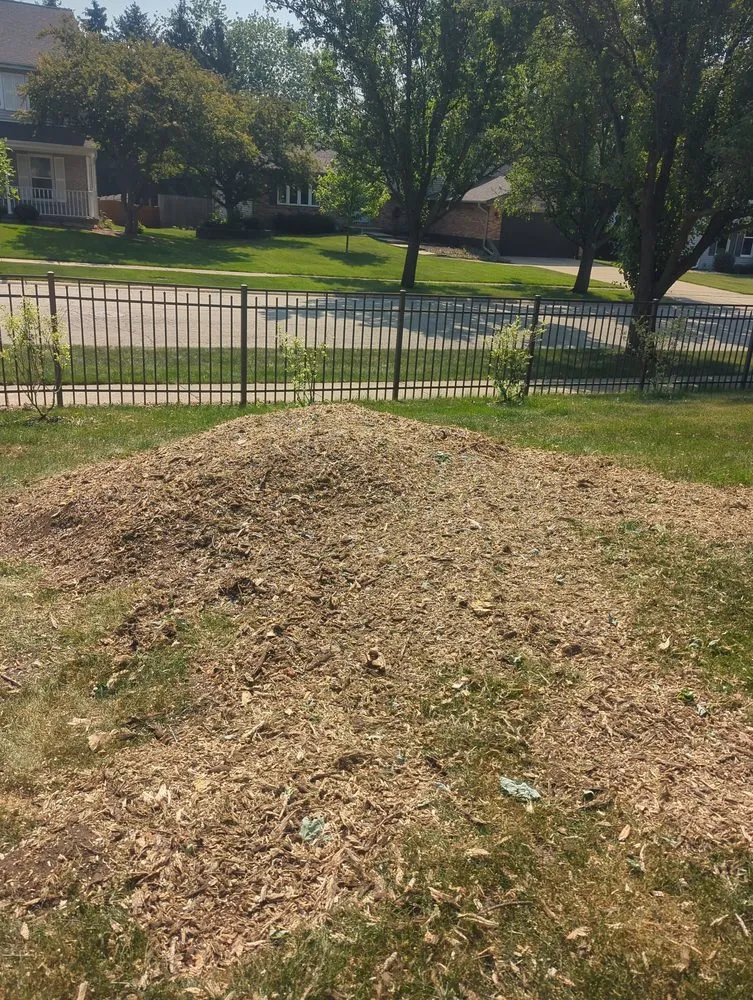 Trusted lawn mowing service experts serving Plainfield, IL - Morenos Tree Service