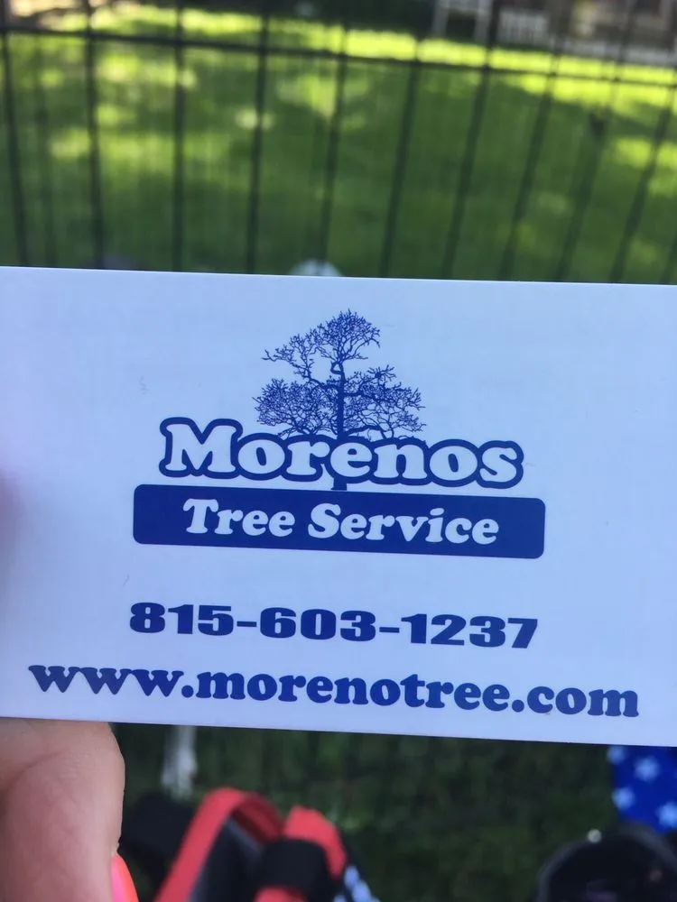 Reliable yard cleanup service for outdoor upgrades across Plainfield, IL - Morenos Tree Service