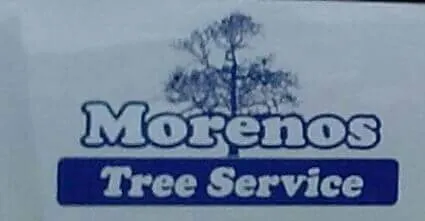 Affordable yard cleanup service in Plainfield, IL - Morenos Tree Service
