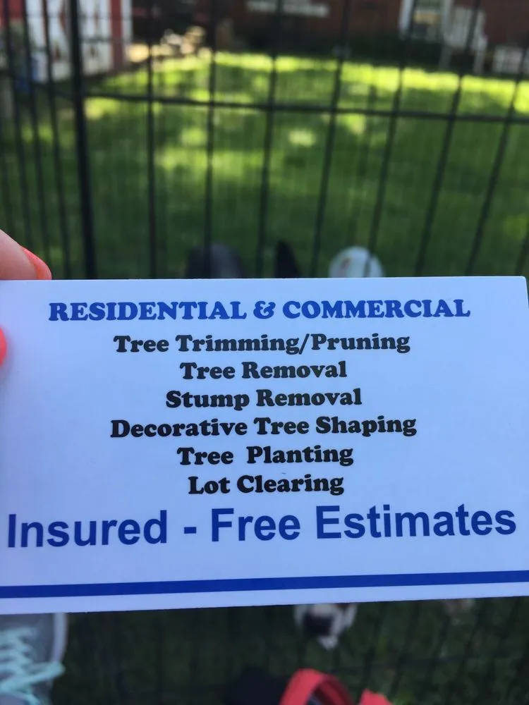 Professional landscape design in Plainfield, IL by Morenos Tree Service