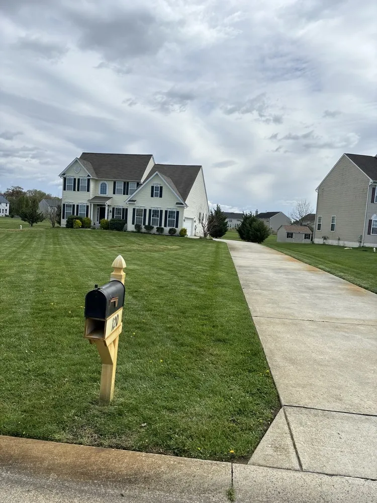 Expert landscape design near you across Georgetown, DE - Morente landscaping