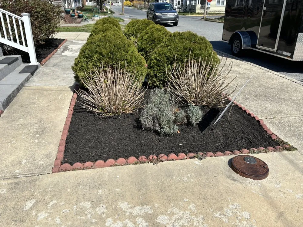 Custom yard cleanup service in Georgetown, DE - Morente landscaping