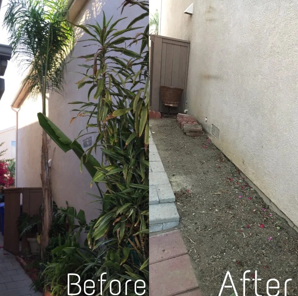 Affordable landscape design for residential properties across Santa Ana, CA - Morfin Tree Services