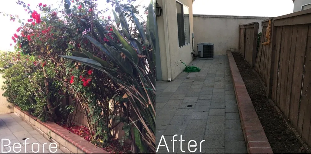 Local garden landscaping in Santa Ana, CA - Morfin Tree Services