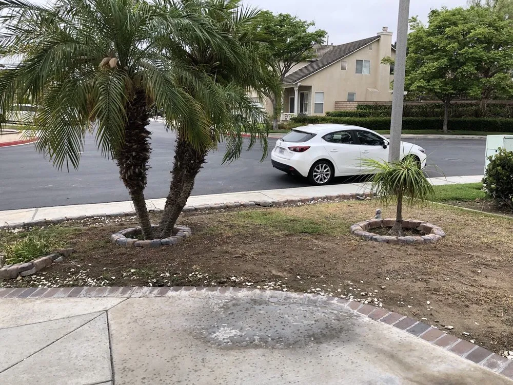 Custom yard maintenance for residential properties in Santa Ana, CA by Morfin Tree Services