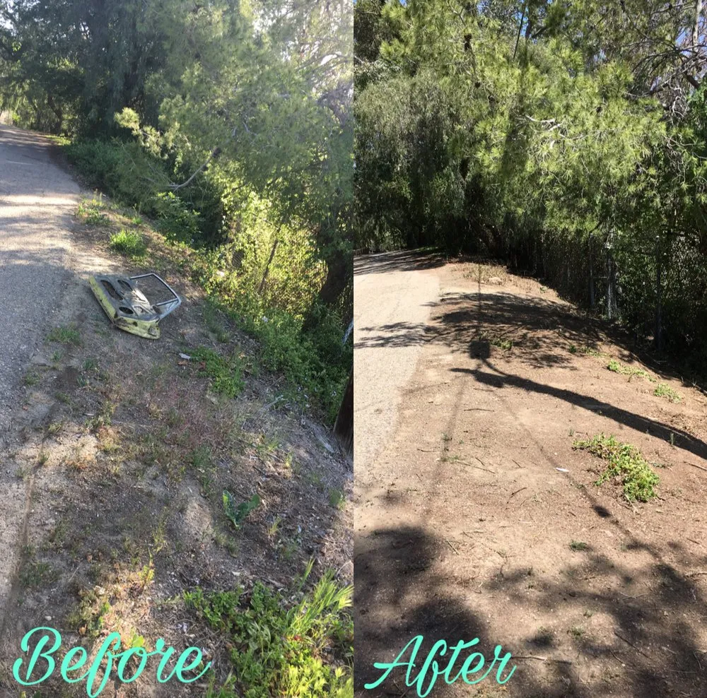 Local lawn mowing service experts serving Santa Ana, CA - Morfin Tree Services