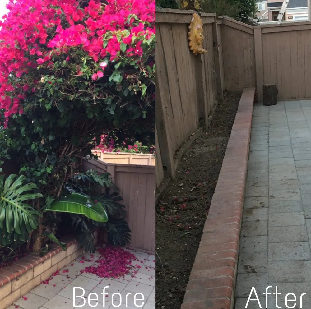Top-rated landscape design for homes across Santa Ana, CA - Morfin Tree Services