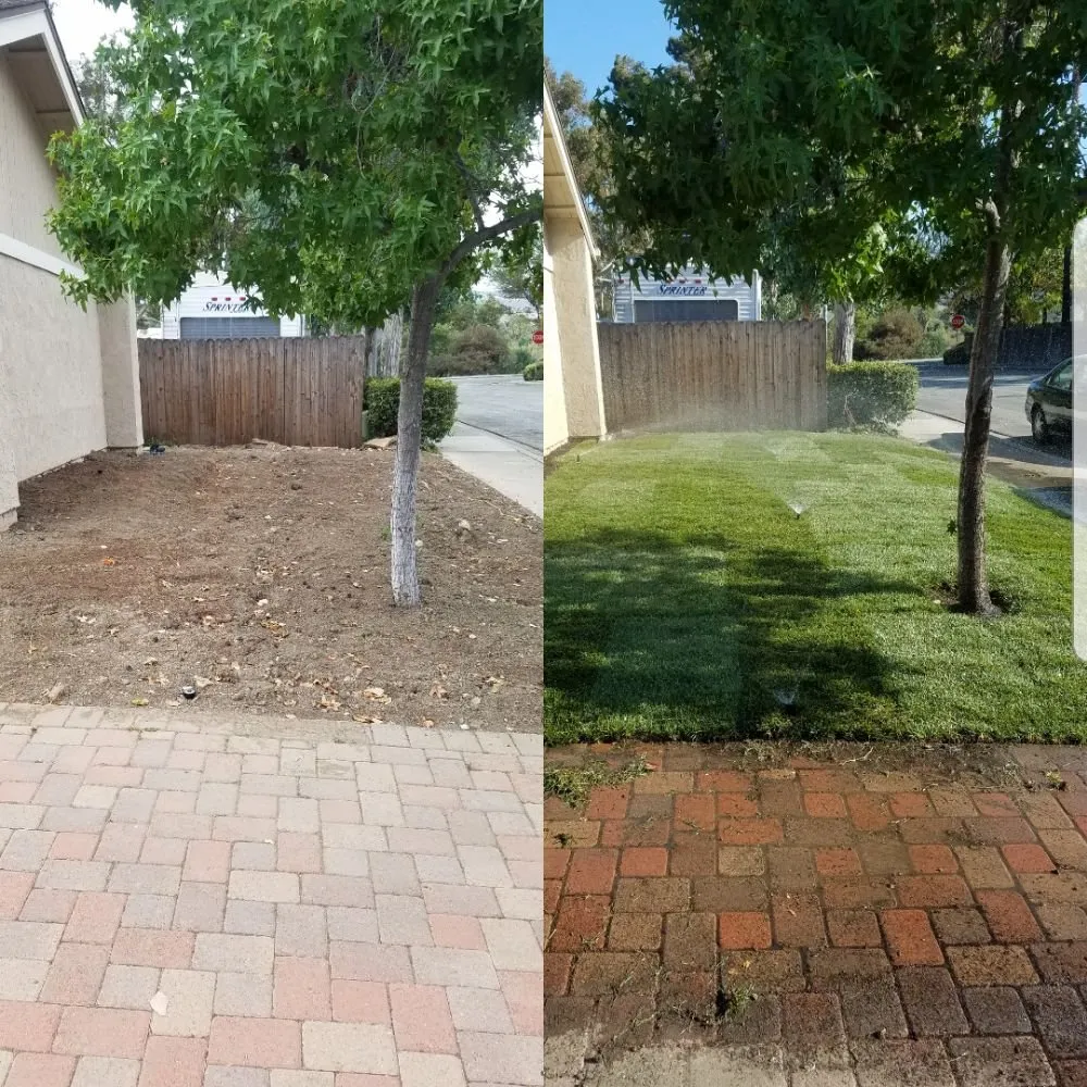 Affordable yard maintenance for homes in Santa Ana, CA by Morfin Tree Services