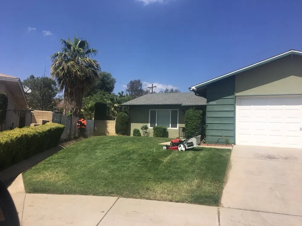Top-rated yard maintenance in Santa Ana, CA - Morfin Tree Services