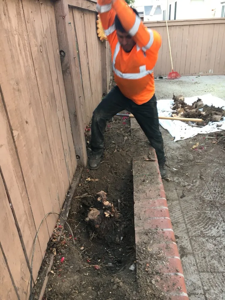 Custom garden landscaping for outdoor upgrades in Santa Ana, CA by Morfin Tree Services