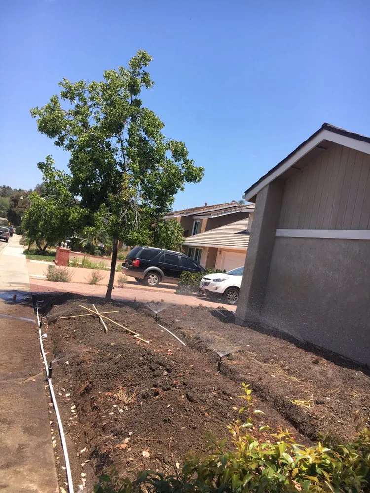 Reliable lawn care service experts serving Santa Ana, CA - Morfin Tree Services