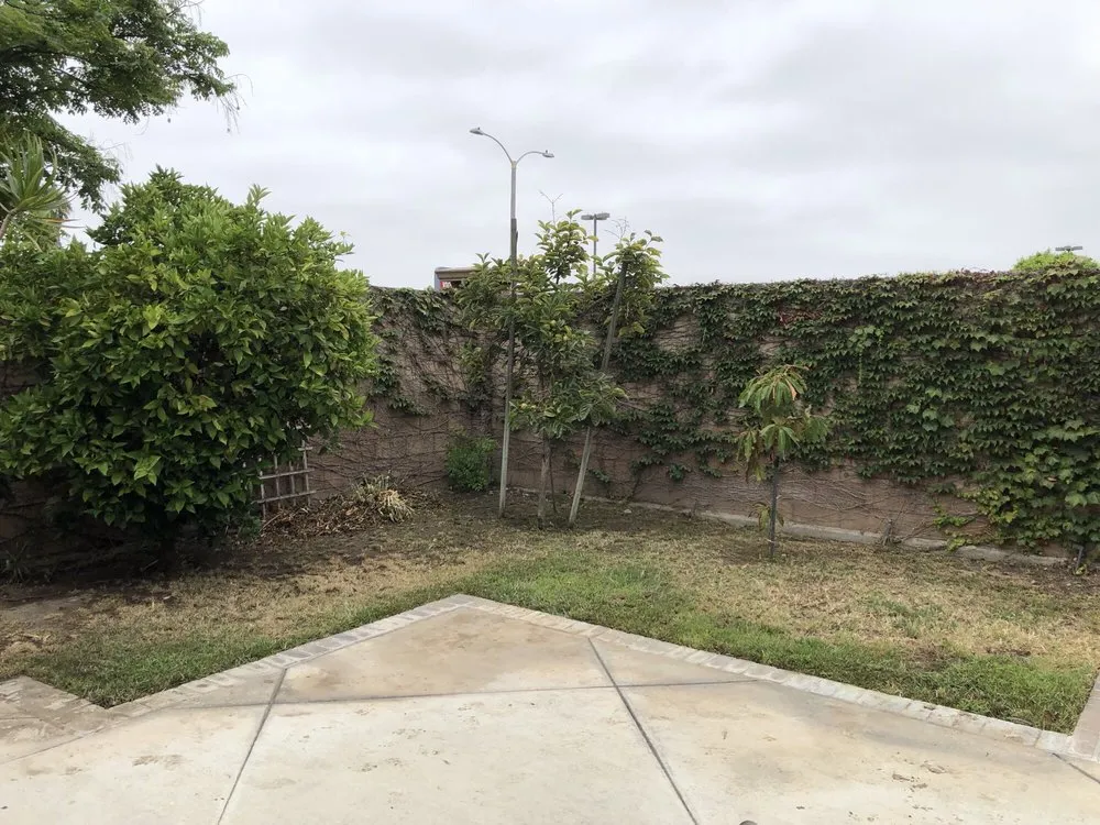 Local yard cleanup service with custom design across Santa Ana, CA - Morfin Tree Services