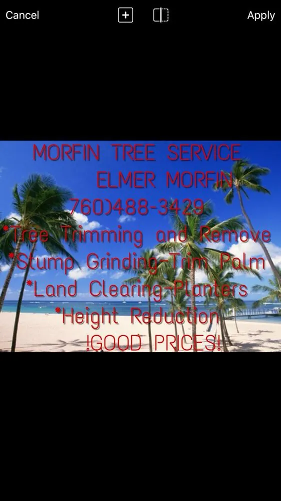 Trusted landscape installation in Santa Ana, CA - Morfin Tree Services