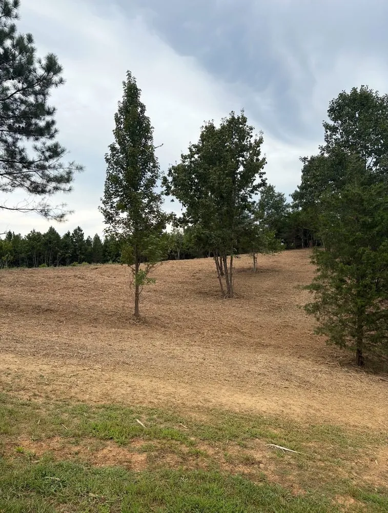 Custom lawn care service in Asheboro, NC by Morgan Farms Mulching