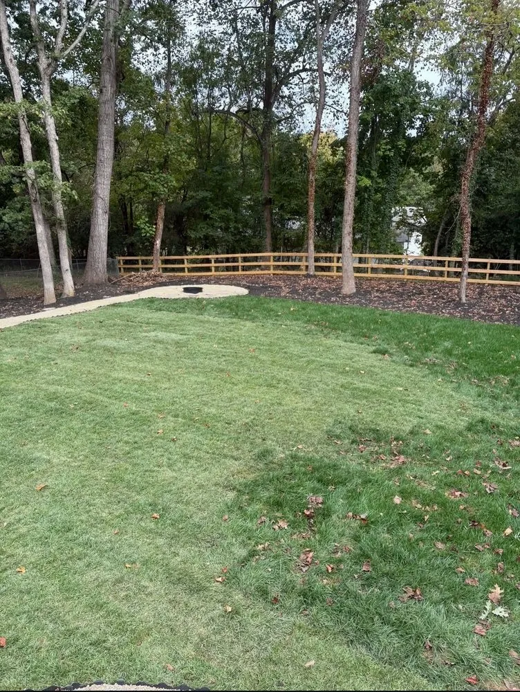 Reliable yard cleanup service in Asheboro, NC by Morgan Farms Mulching
