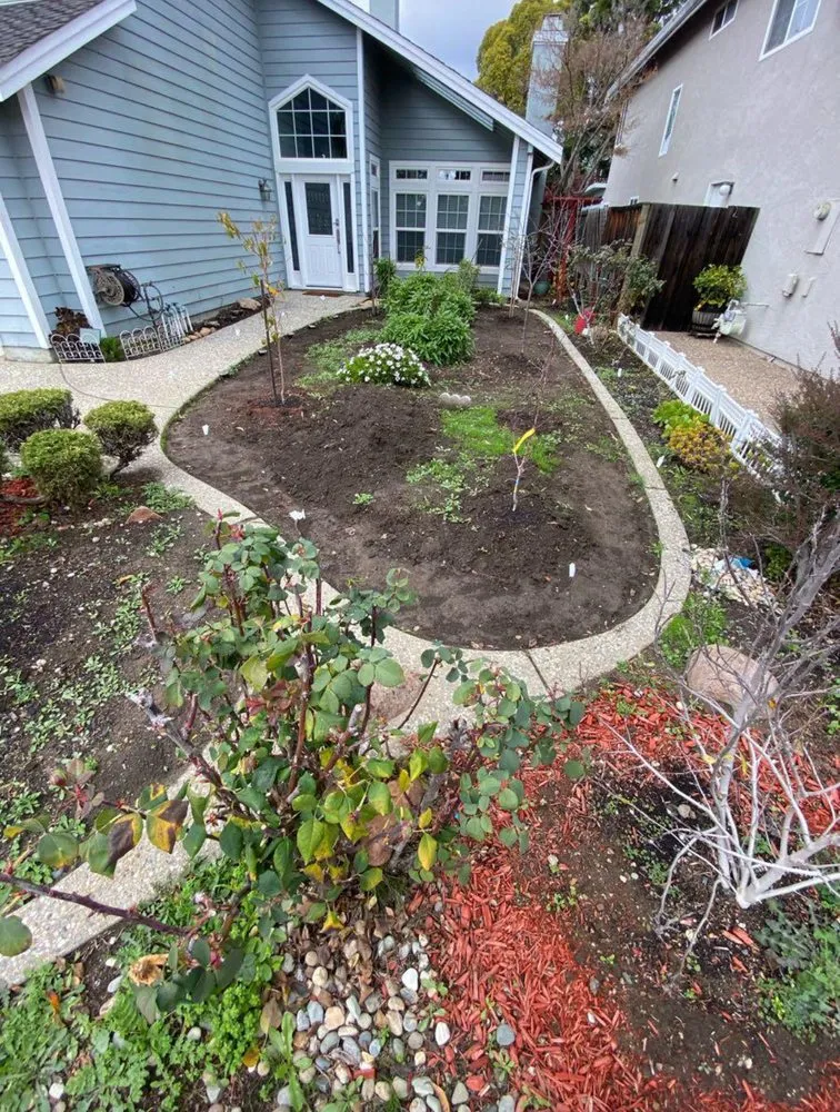 Reliable yard cleanup service experts serving Morgan Hill, CA - Morgan Hill Skid & Tractor Landscape