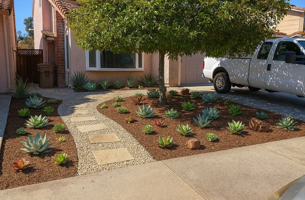 Professional yard cleanup service experts serving Morgan Hill, CA - Morgan Hill Skid & Tractor Landscape