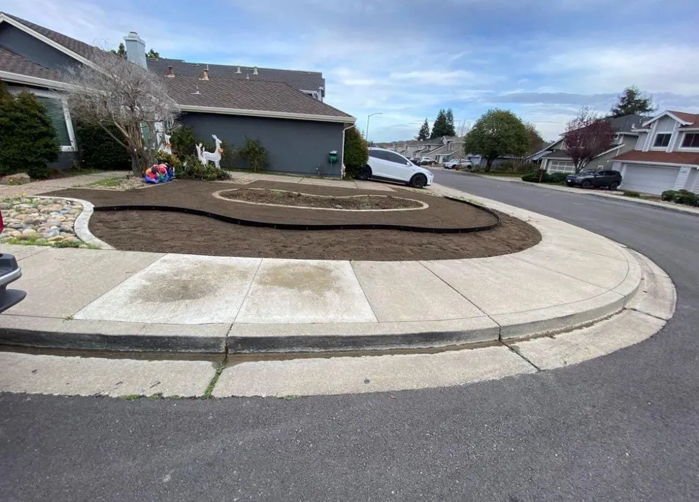 Affordable yard maintenance in Morgan Hill, CA by Morgan Hill Skid & Tractor Landscape