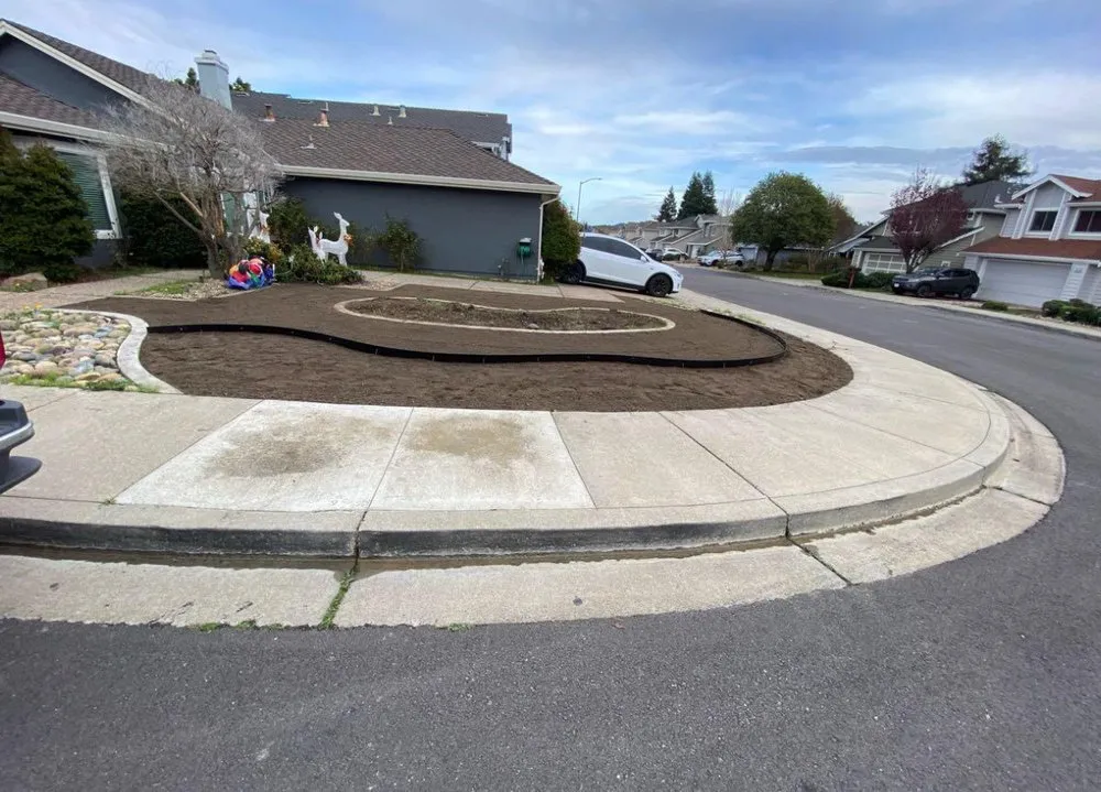 Expert yard maintenance experts serving Morgan Hill, CA - Morgan Hill Skid & Tractor Landscape