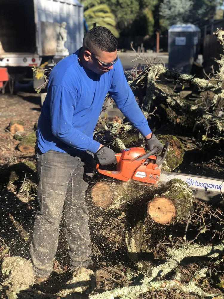 Affordable residential landscaping in Morgan Hill, CA by Morgan Hill Tree Service