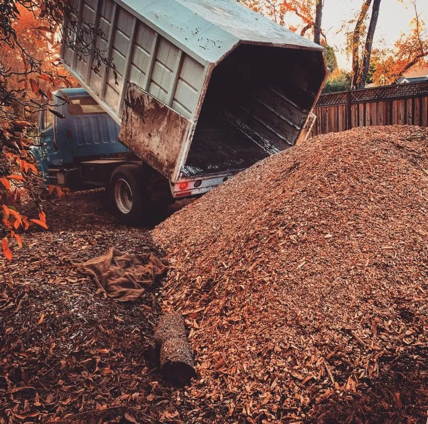 Top-rated landscape design in Morgan Hill, CA - Morgan Hill Tree Service