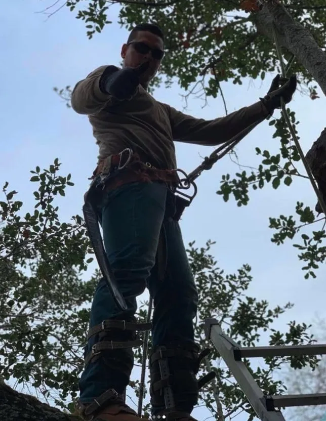 Expert outdoor landscaping for residential properties across Morgan Hill, CA - Morgan Hill Tree Service