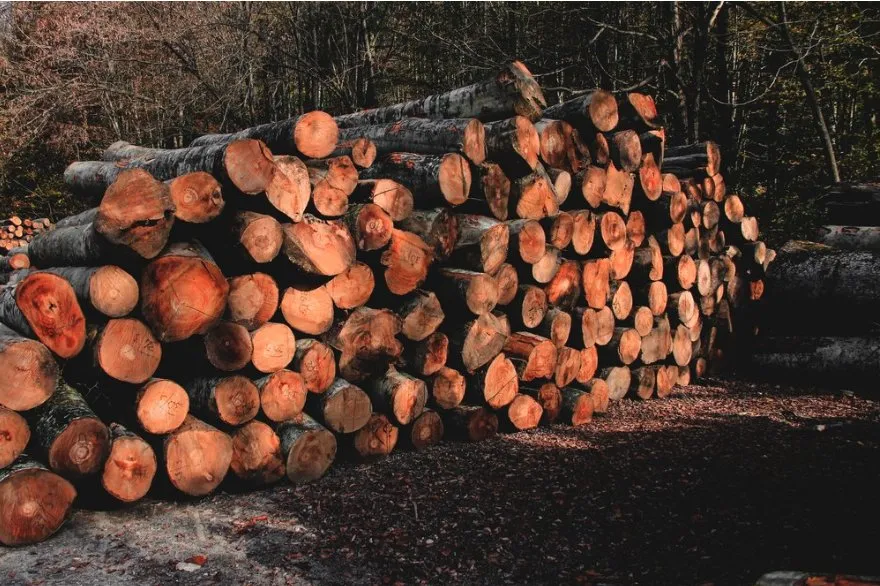 Custom garden landscaping in Morgan Hill, CA - Morgan Hill Tree Service