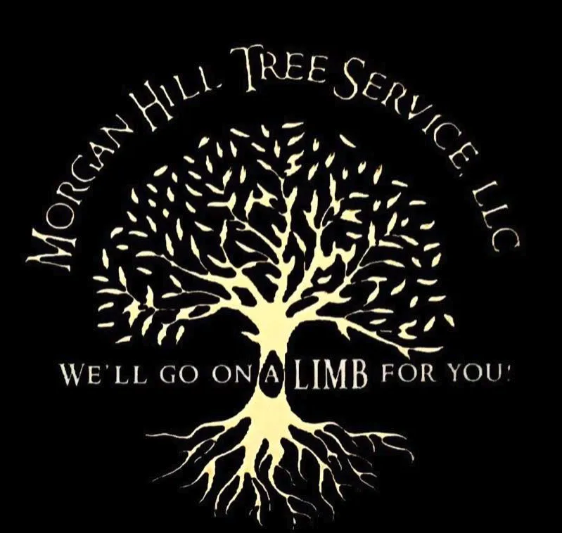 Expert residential landscaping in Morgan Hill, CA by Morgan Hill Tree Service