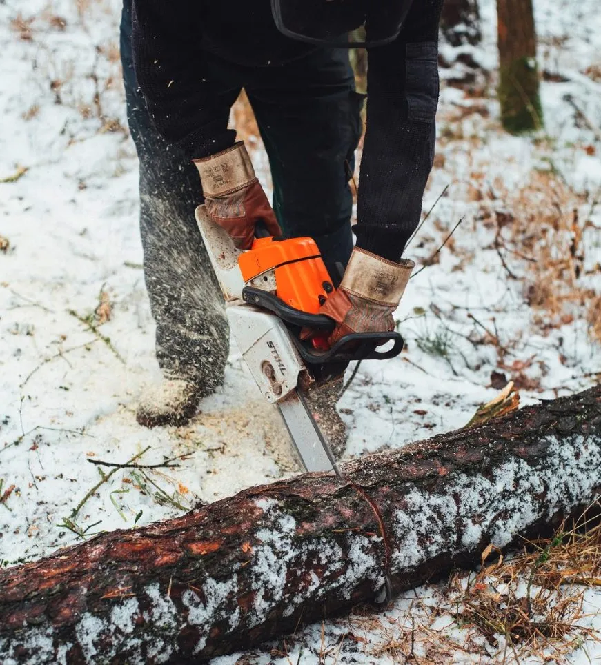 Professional landscape installation in Morgan Hill, CA by Morgan Hill Tree Service