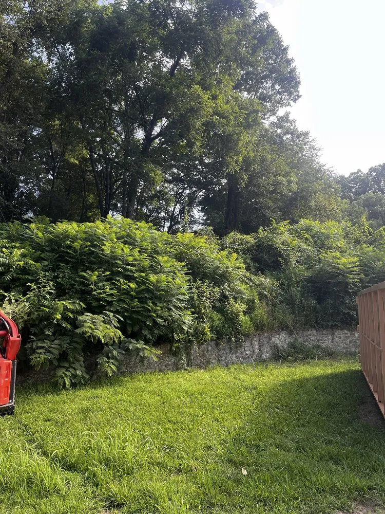 Top-rated garden landscaping experts serving Oak Ridge, TN - Morgan Land Solutions