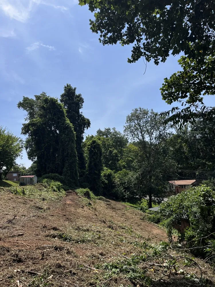 Expert garden landscaping experts serving Oak Ridge, TN - Morgan Land Solutions