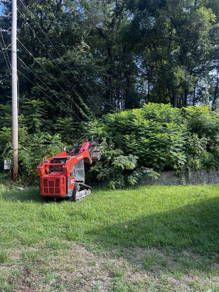 Reliable landscape installation in Oak Ridge, TN by Morgan Land Solutions