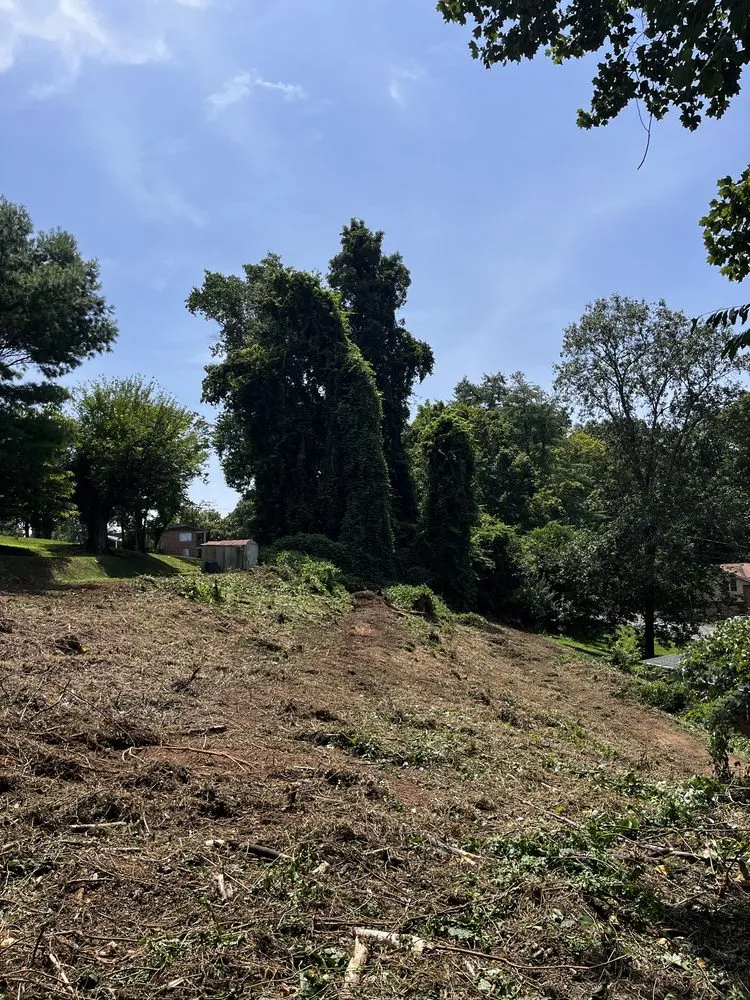 Custom garden landscaping in Oak Ridge, TN by Morgan Land Solutions