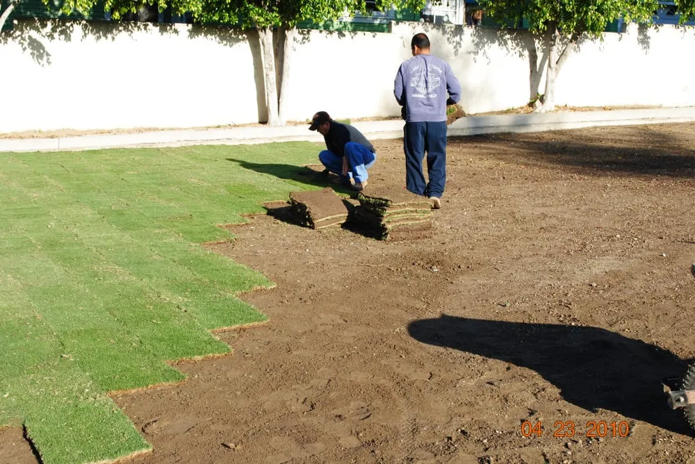 Professional landscape installation in Covina, CA - Morgan Landscaping