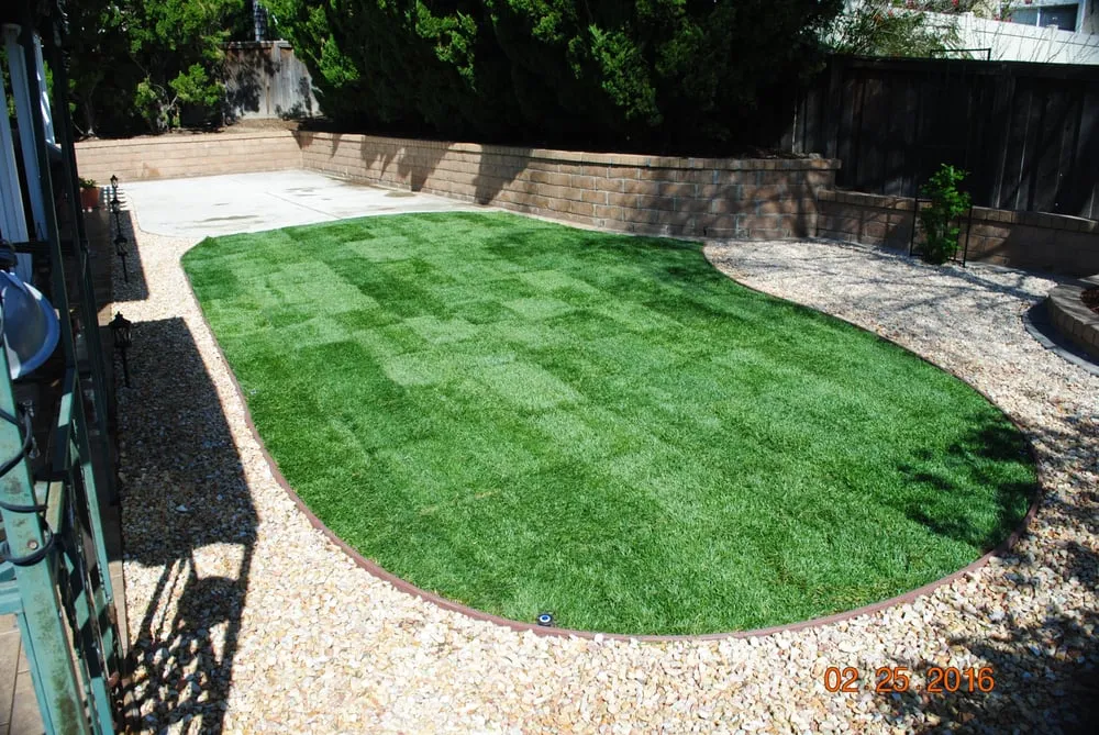 Top-rated yard cleanup service in Covina, CA - Morgan Landscaping