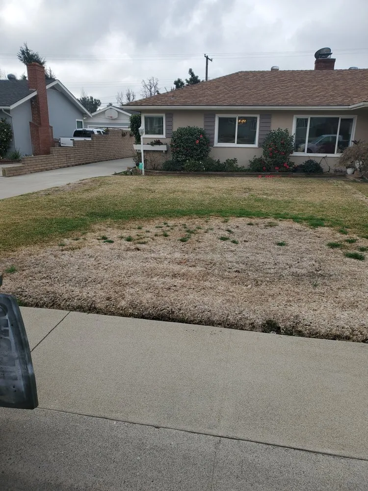 Affordable landscape design for outdoor upgrades in Covina, CA by Morgan Landscaping