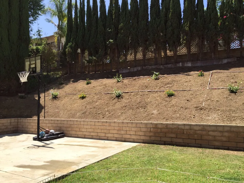 Professional yard cleanup service near you in Covina, CA by Morgan Landscaping