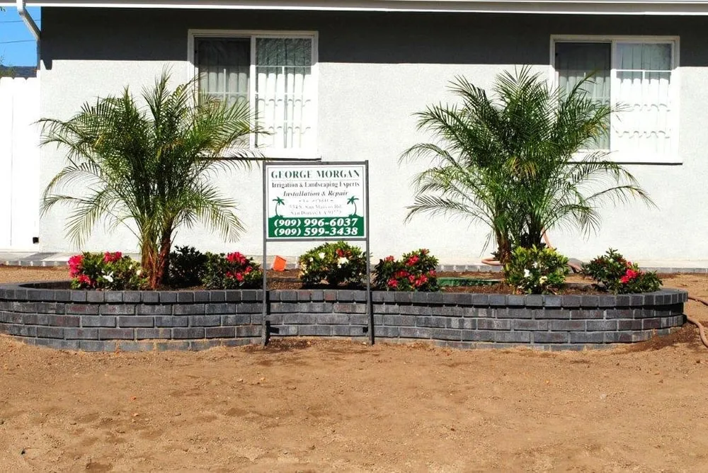 Custom yard cleanup service in Covina, CA by Morgan Landscaping