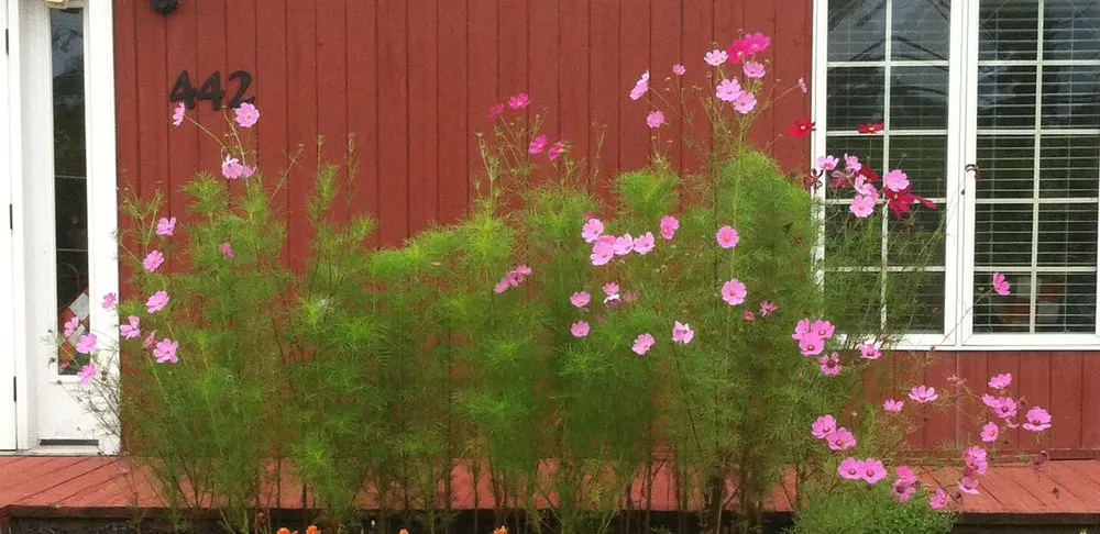 Top-rated yard cleanup service in Auburn, NY - Morgan Lawn and Landscape, LLC