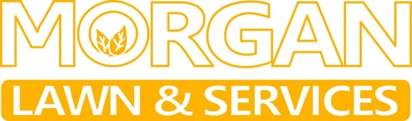 Morgan Lawn and Services